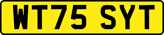 WT75SYT