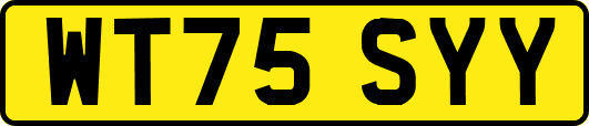 WT75SYY