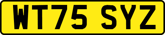 WT75SYZ