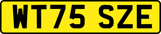 WT75SZE