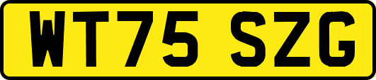 WT75SZG
