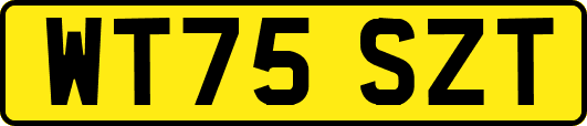WT75SZT