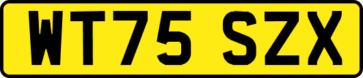 WT75SZX