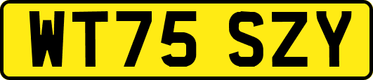 WT75SZY