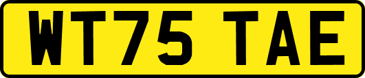 WT75TAE