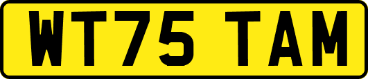 WT75TAM
