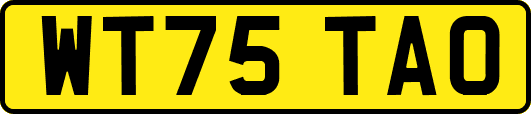 WT75TAO