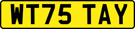 WT75TAY