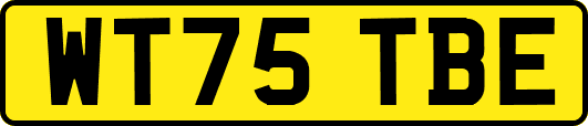 WT75TBE