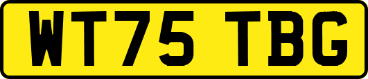 WT75TBG