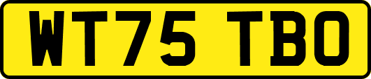 WT75TBO