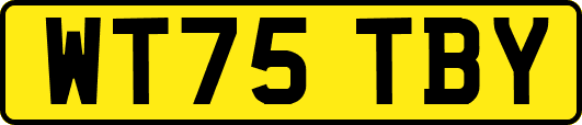 WT75TBY