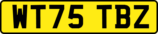 WT75TBZ