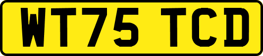 WT75TCD