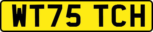 WT75TCH