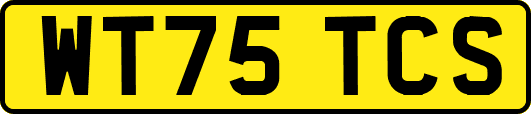 WT75TCS