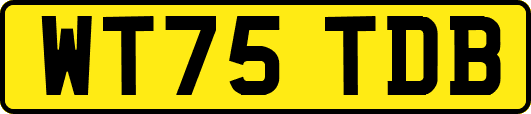 WT75TDB