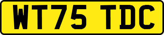 WT75TDC