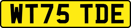 WT75TDE