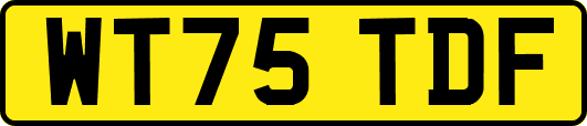 WT75TDF