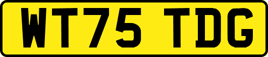 WT75TDG