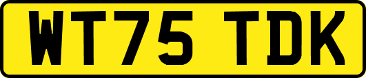 WT75TDK