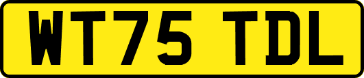WT75TDL