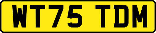 WT75TDM