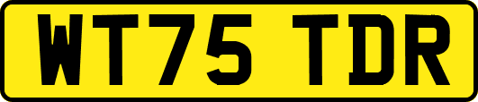 WT75TDR