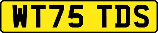 WT75TDS