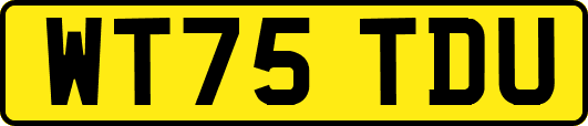 WT75TDU