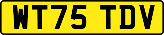 WT75TDV
