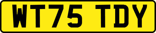 WT75TDY
