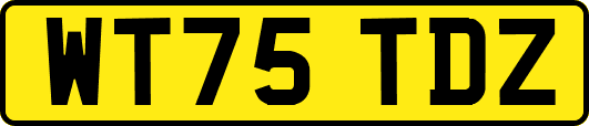WT75TDZ