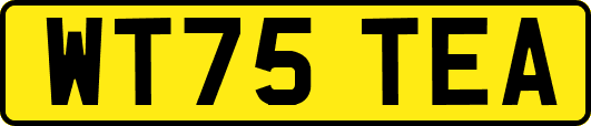 WT75TEA
