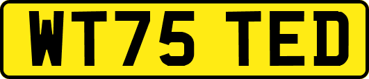 WT75TED
