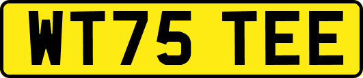 WT75TEE