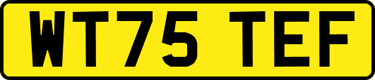 WT75TEF