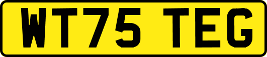 WT75TEG