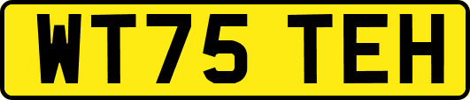 WT75TEH