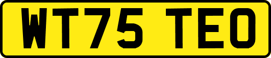 WT75TEO