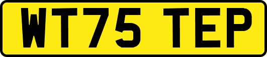 WT75TEP