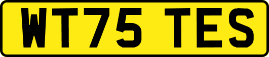 WT75TES