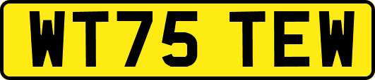 WT75TEW