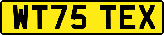 WT75TEX
