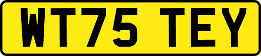 WT75TEY