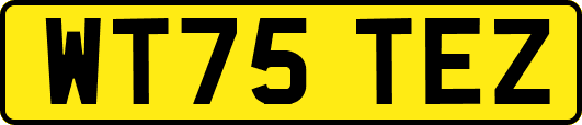 WT75TEZ