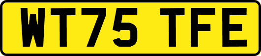 WT75TFE