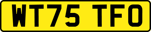 WT75TFO