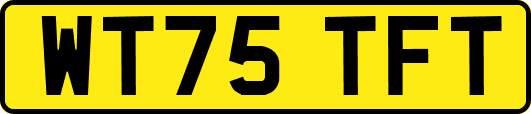 WT75TFT